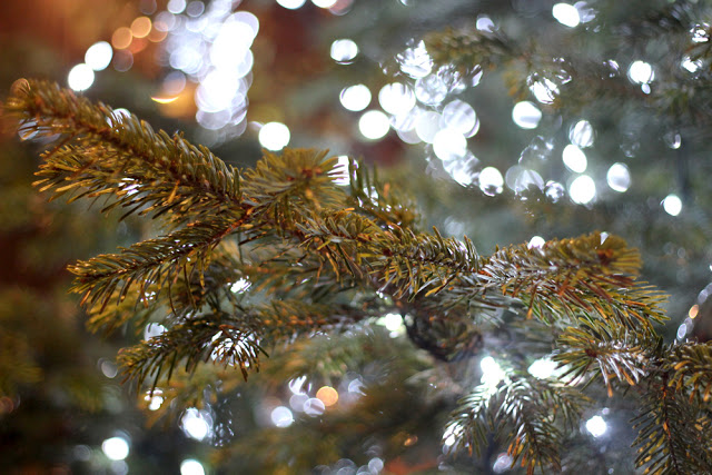 Paige Joanna South Kensington Adora exploring london