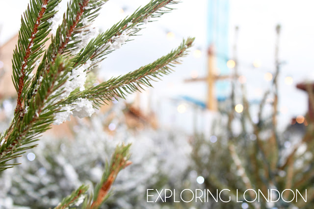 Paige Joanna exploring London christmas outing