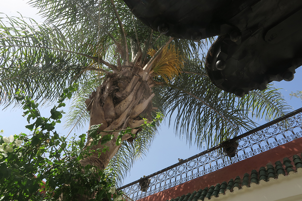 Paige Joanna Honeymoon in Marrakech Dar Jaguar